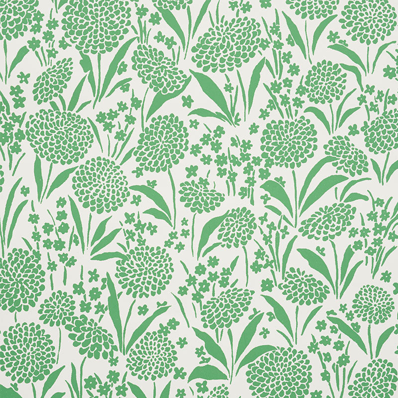 CHRYSANTHEMUM-GREEN-SCHUMACHER-5009553