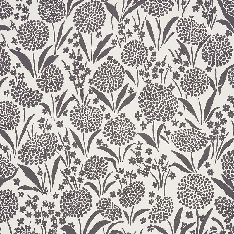 CHRYSANTHEMUM-CARBON-SCHUMACHER-5009553