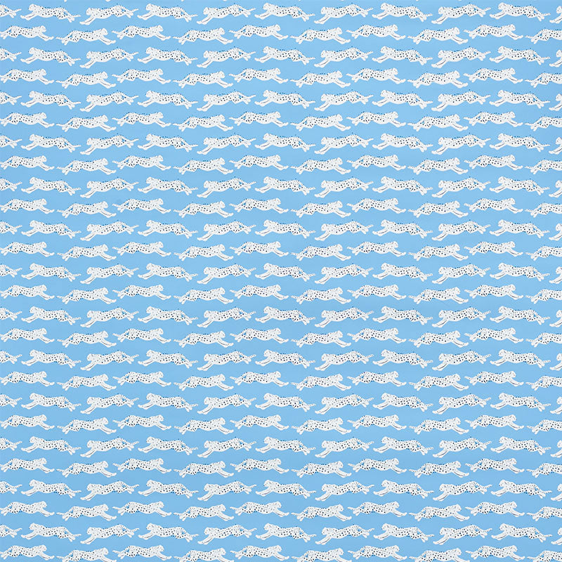 LEAPING-LEOPARDS-SKY-SCHUMACHER-5009590
