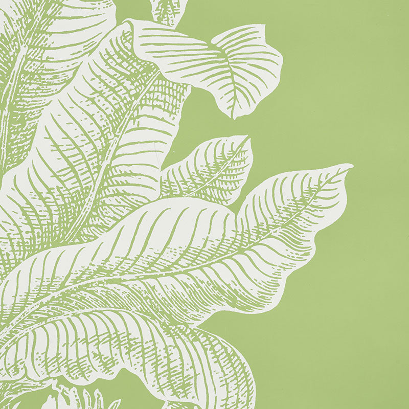 GRAND-PALMS-LEAF-SCHUMACHER-5009620