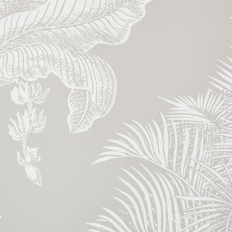 GRAND-PALMS-DOVE-SCHUMACHER-5009622