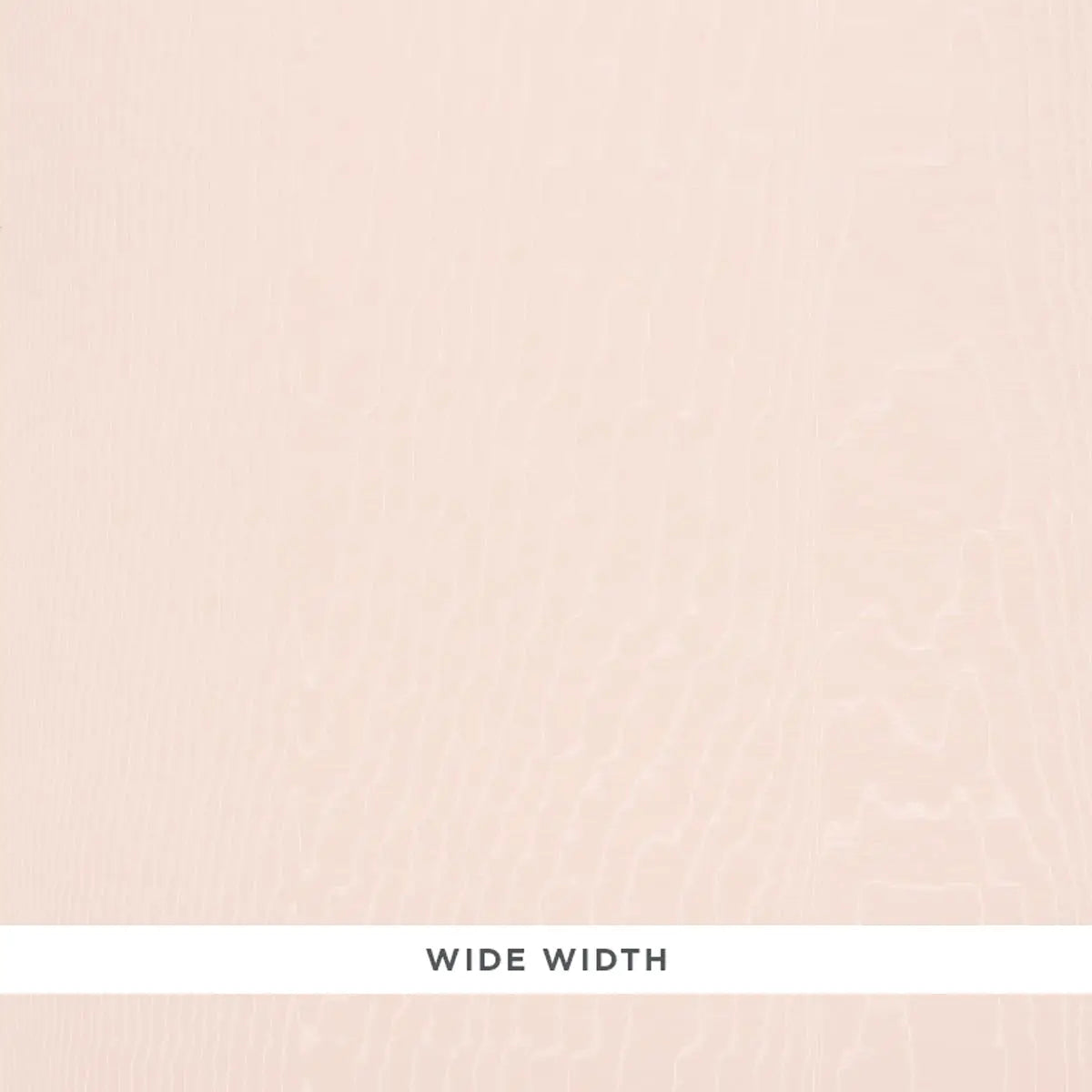 MOIR-WALLCOVERING-ROSE-SCHUMACHER-5009675