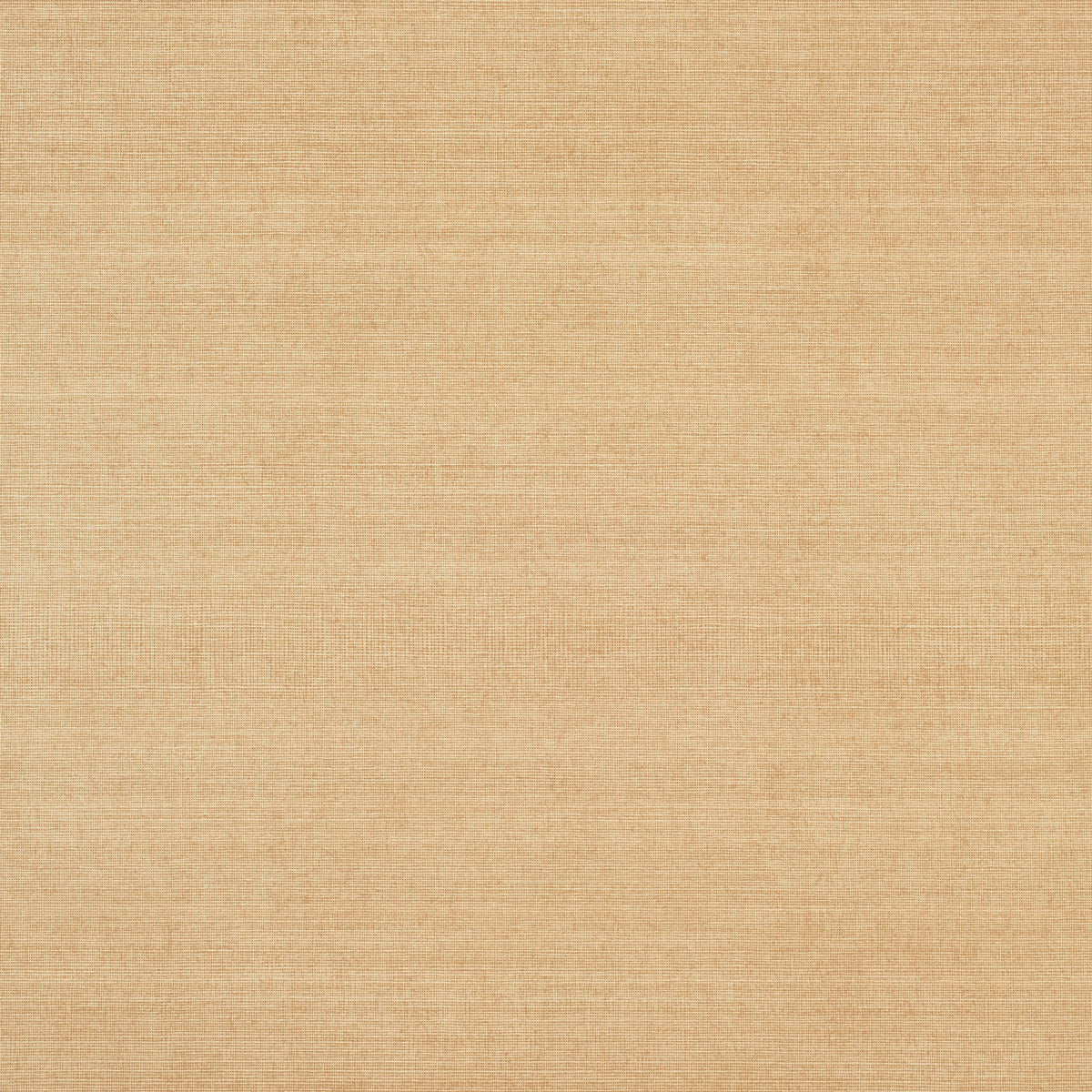 VALENTIN-GOLD-SCHUMACHER-5010062