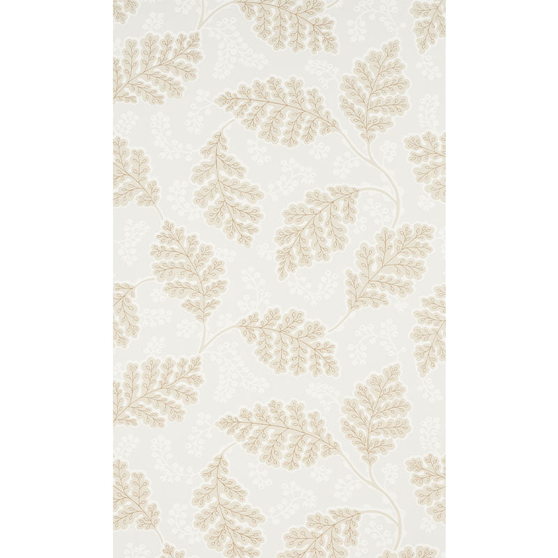 ESTELLE-NEUTRAL-SCHUMACHER-5010390