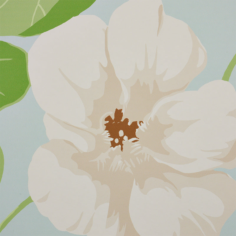 NASTURTIUM-SKY-SCHUMACHER-5010471