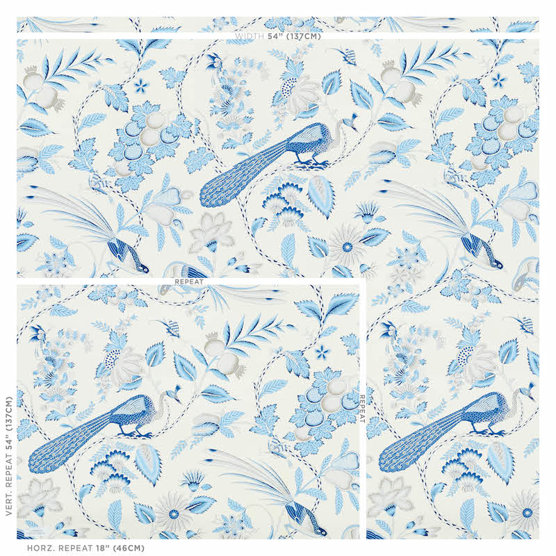 CAMPAGNE-BLEU-GRIS-SCHUMACHER-5010511