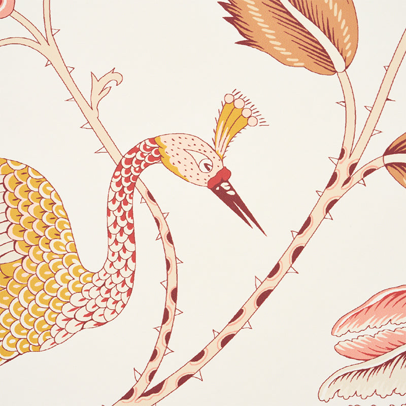 CAMPAGNE-ROSE-OCHRE-SCHUMACHER-5010513