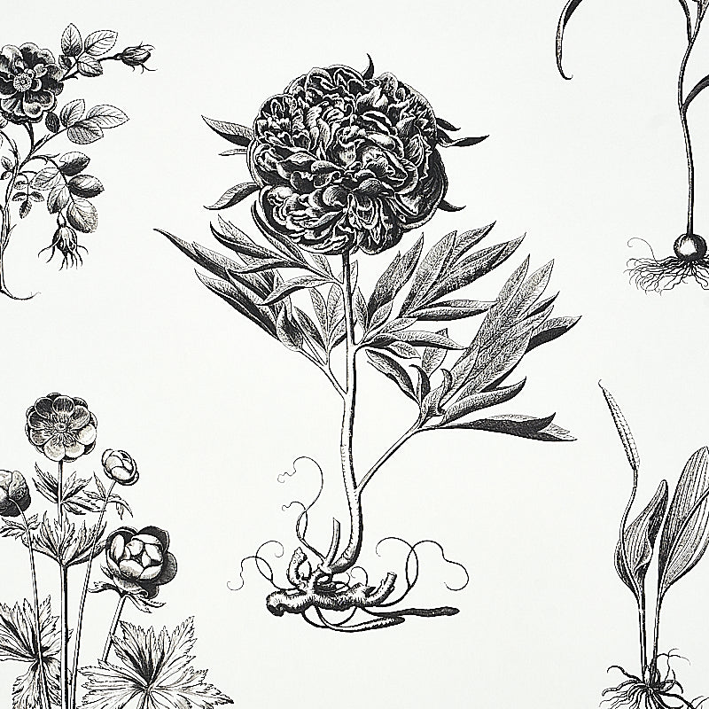 CABOT-BOTANICAL-LARGE-IVORY-SCHUMACHER-5010640
