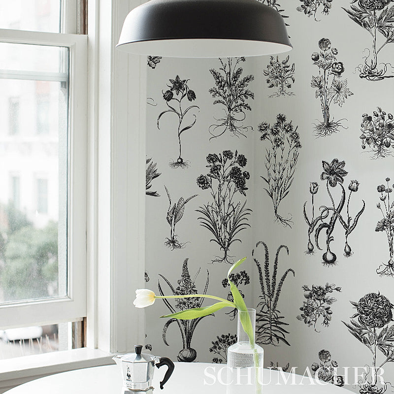 CABOT-BOTANICAL-LARGE-IVORY-SCHUMACHER-5010640