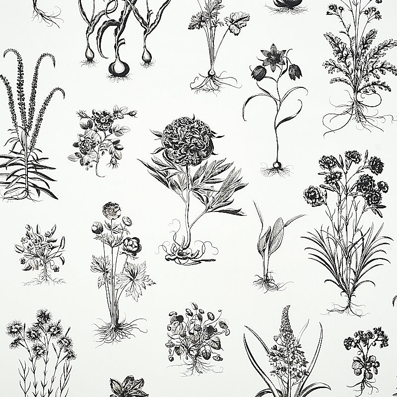 CABOT-BOTANICAL-LARGE-IVORY-SCHUMACHER-5010640