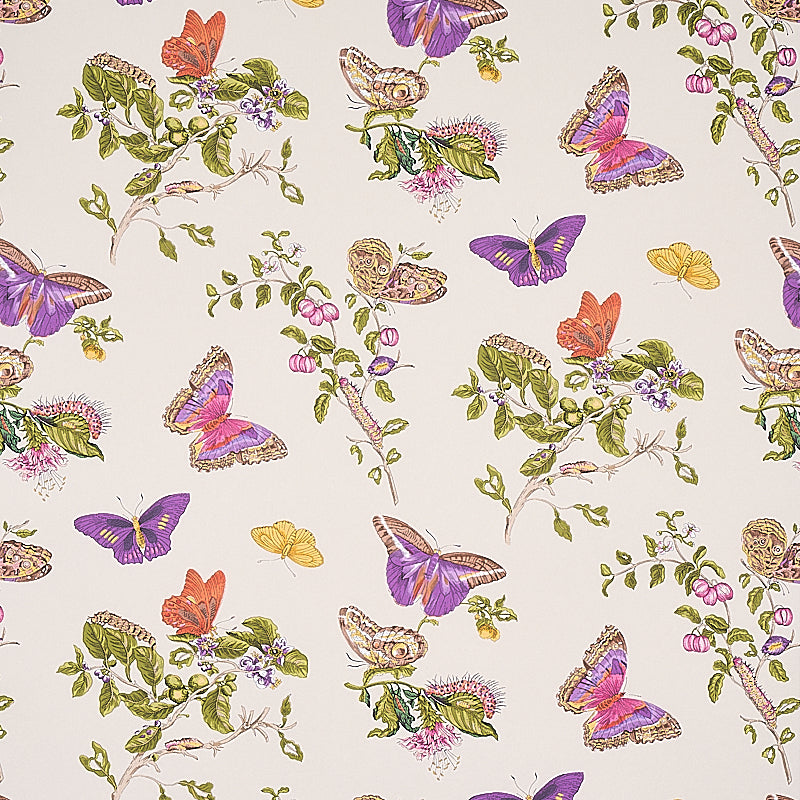 BAUDIN-BUTTERFLY-PURPLE-SCHUMACHER-5010692