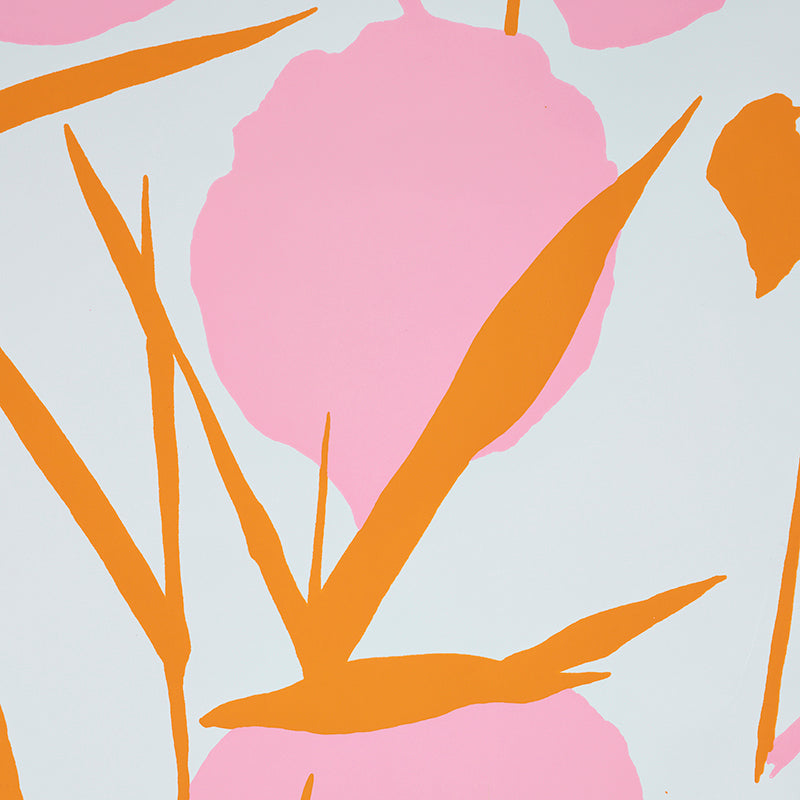 JOAN-PINK-SCHUMACHER-5010781