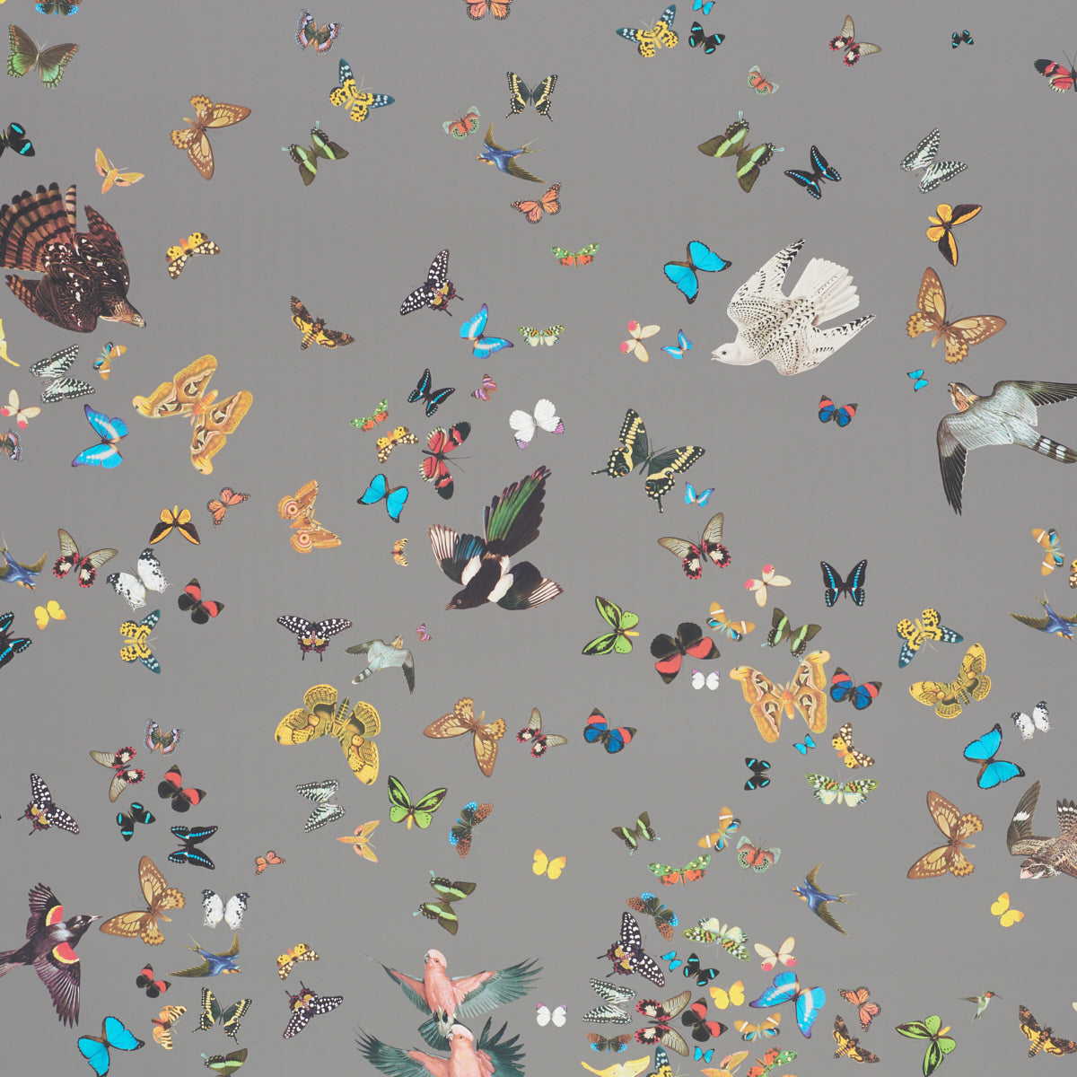 QUEENS-FLIGHT-PANEL-SET-GREY-SCHUMACHER-5010862
