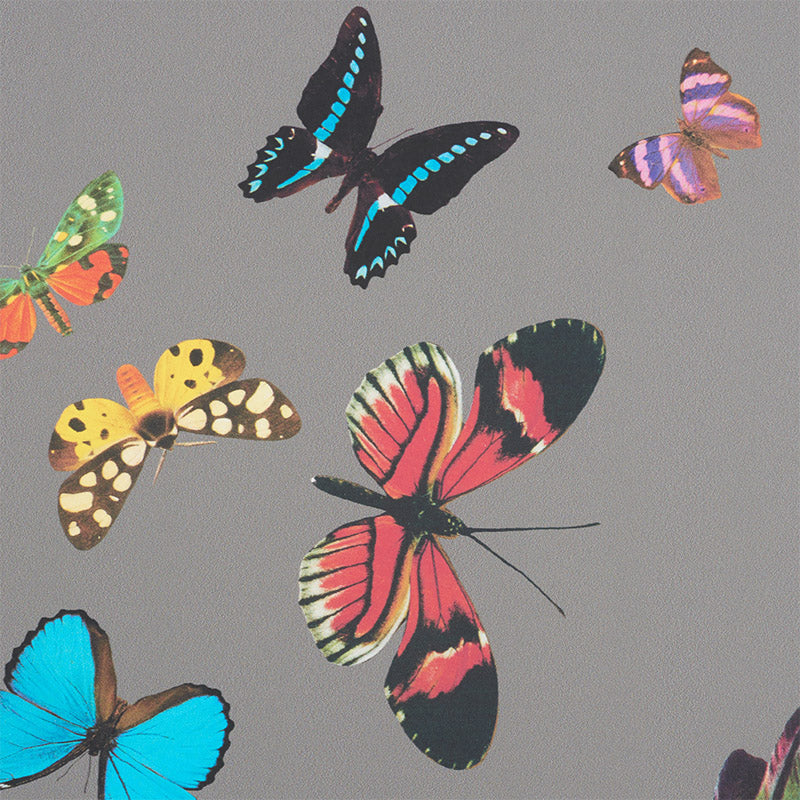 QUEENS-FLIGHT-PANEL-SET-GREY-SCHUMACHER-5010862