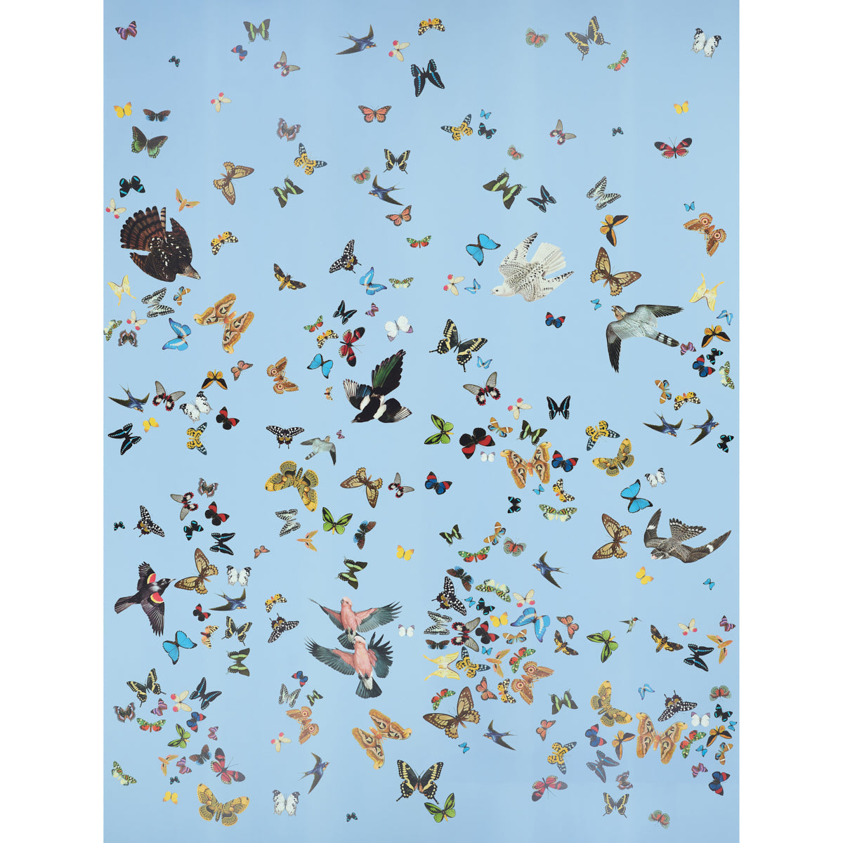 QUEENS-FLIGHT-PANEL-SET-SKY-SCHUMACHER-5010865