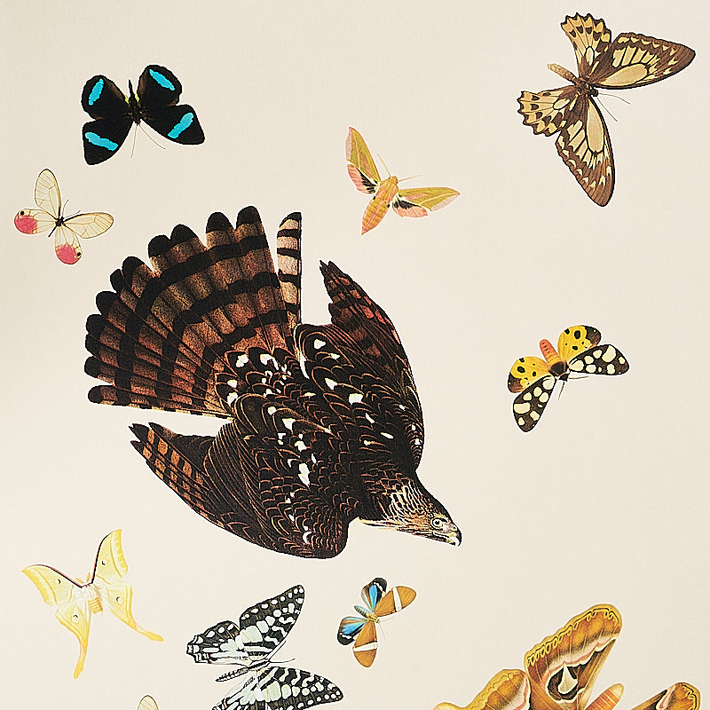 QUEENS-FLIGHT-PANEL-SET-SAND-SCHUMACHER-5010866