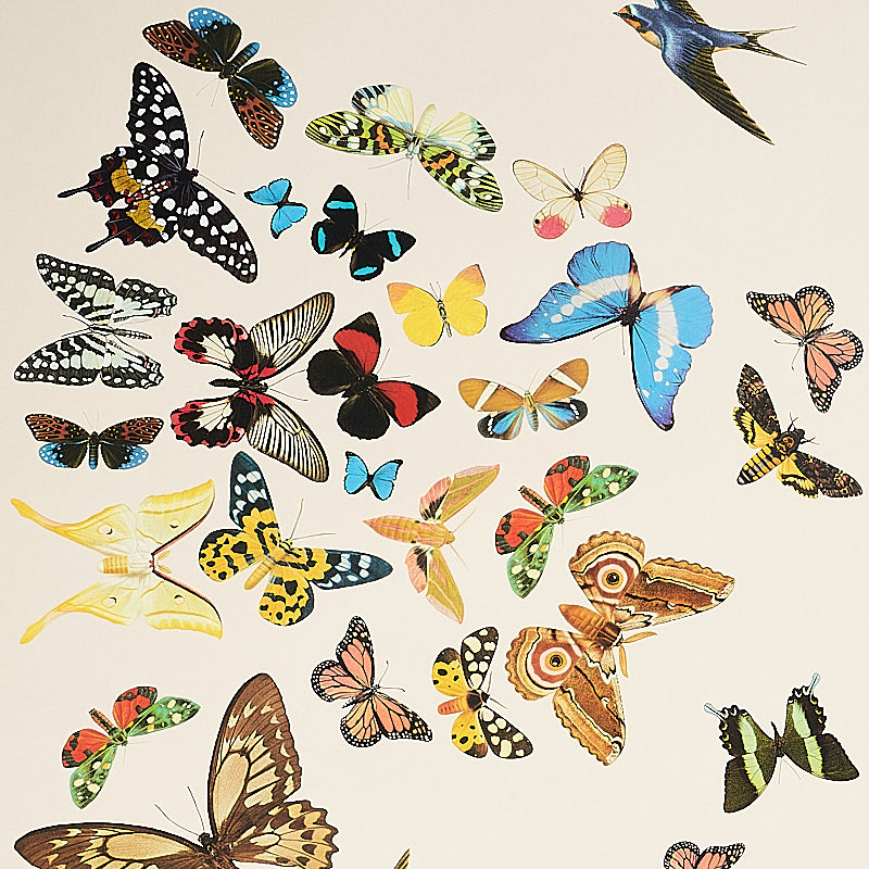 QUEENS-FLIGHT-PANEL-SET-SAND-SCHUMACHER-5010866