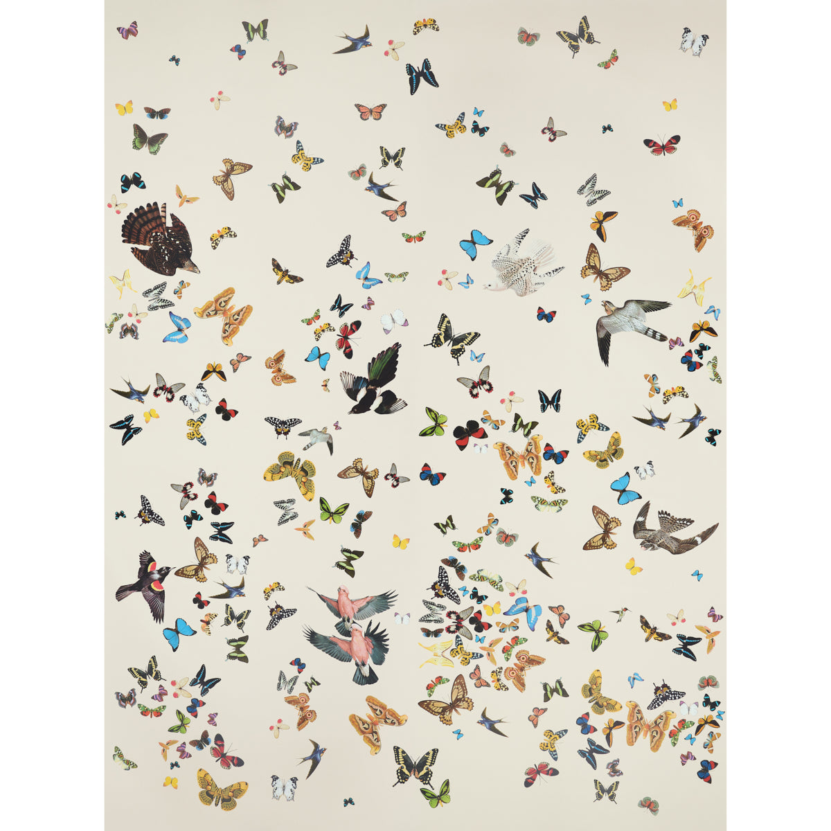 QUEENS-FLIGHT-PANEL-SET-SAND-SCHUMACHER-5010866