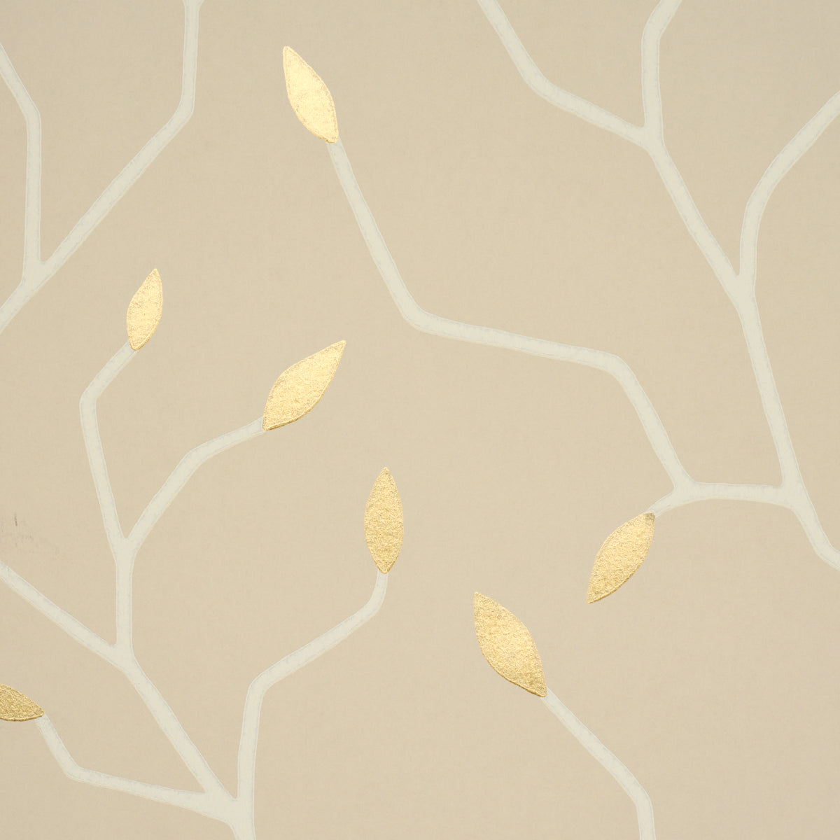 CYMBELINE-ALABASTER-SCHUMACHER-5011384