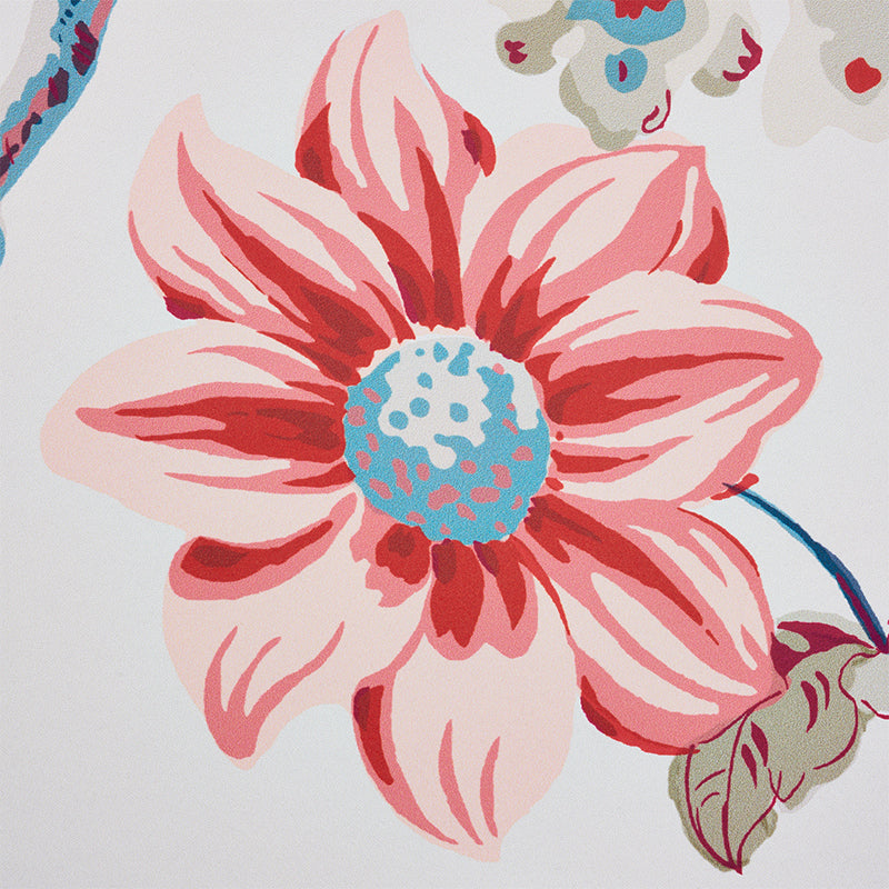 DAYDREAM-ROSE-SCHUMACHER-5011401