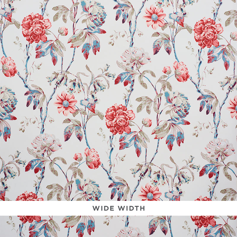 DAYDREAM-ROSE-SCHUMACHER-5011401