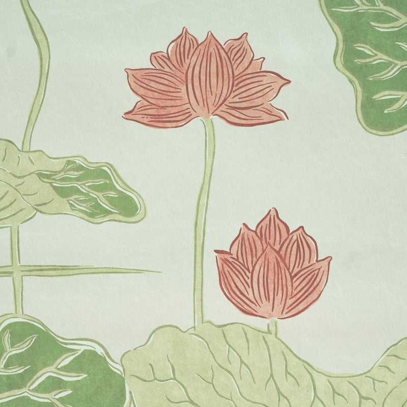 KIREINA-LOTUS-PANEL-SET-CORAL-IVORY-SCHUMACHER-5011690