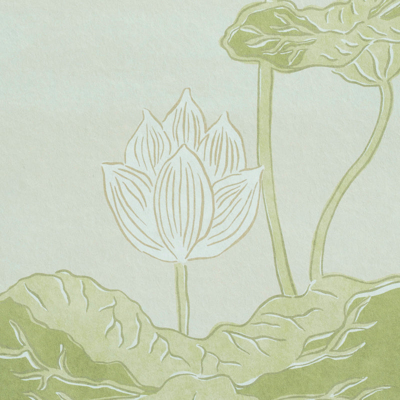 KIREINA-LOTUS-PANEL-SET-WHITE-IVORY-SCHUMACHER-5011691