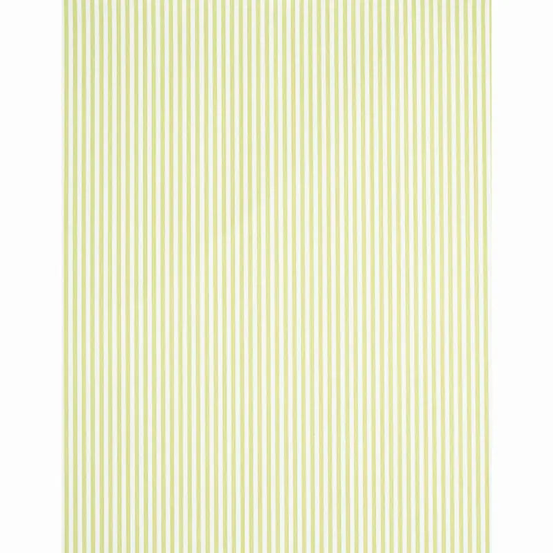 EDWIN-STRIPE-NARROW-CITRON-SCHUMACHER-5011868