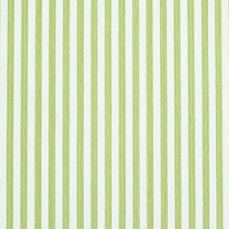 EDWIN-STRIPE-NARROW-LEAF-SCHUMACHER-5011869