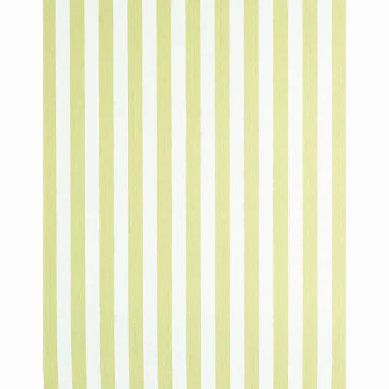 EDWIN-STRIPE-MEDIUM-CITRON-SCHUMACHER-5011888