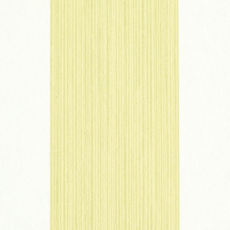 EDWIN-STRIPE-WIDE-CITRON-SCHUMACHER-5011908