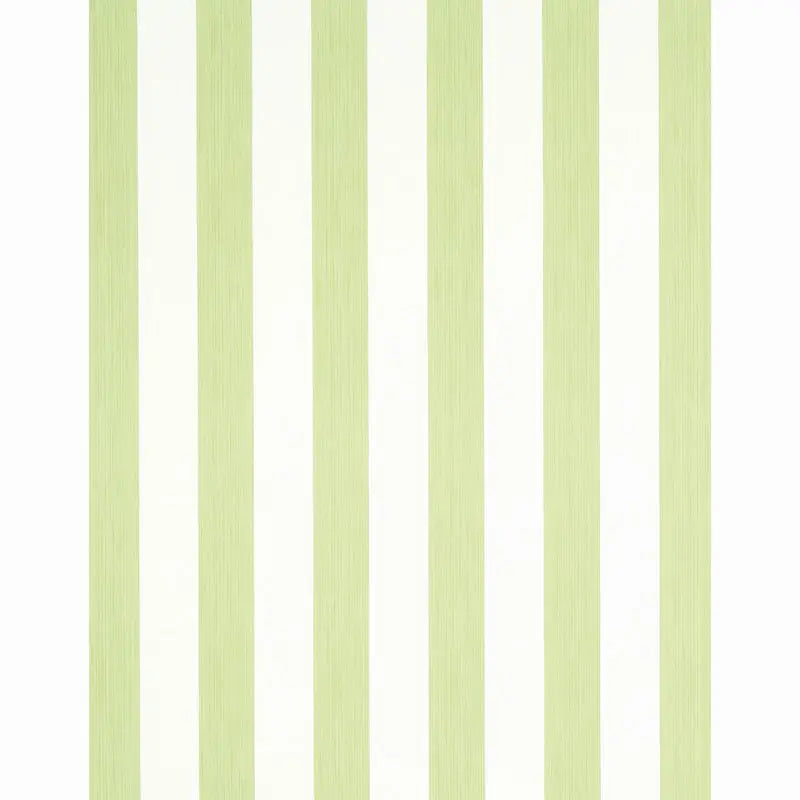 EDWIN-STRIPE-WIDE-LEAF-SCHUMACHER-5011909