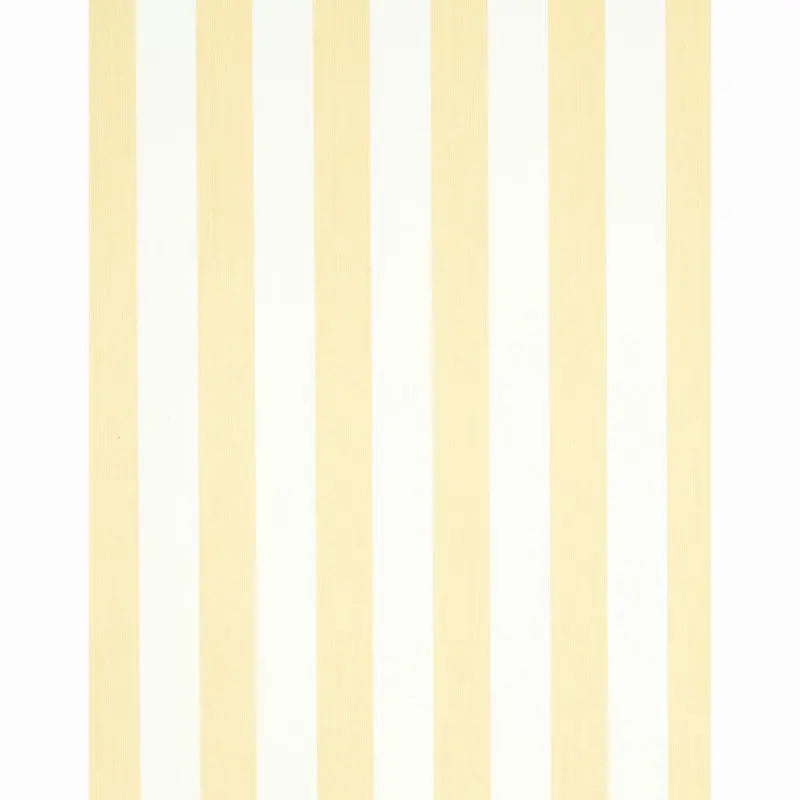 EDWIN-STRIPE-WIDE-BUTTERCUP-SCHUMACHER-5011910