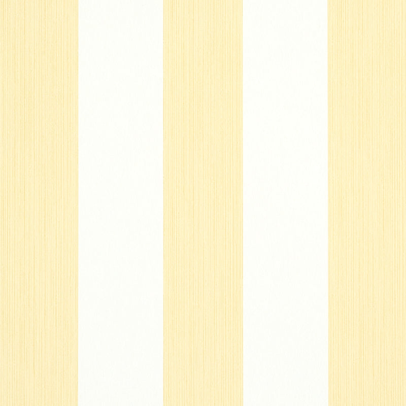 EDWIN-STRIPE-WIDE-BUTTERCUP-SCHUMACHER-5011910