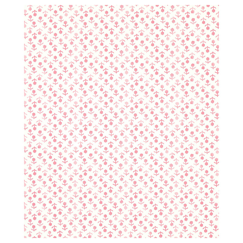 BEATRIZ-PINK-SCHUMACHER-5011940