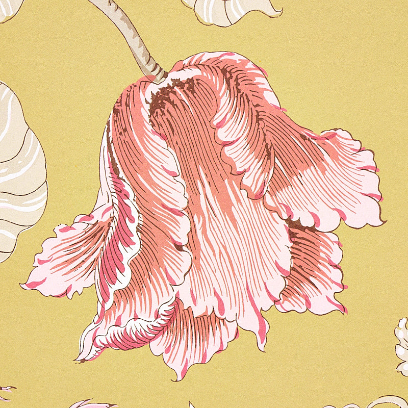 JOSEPHINE-OCHRE-SCHUMACHER-5012011