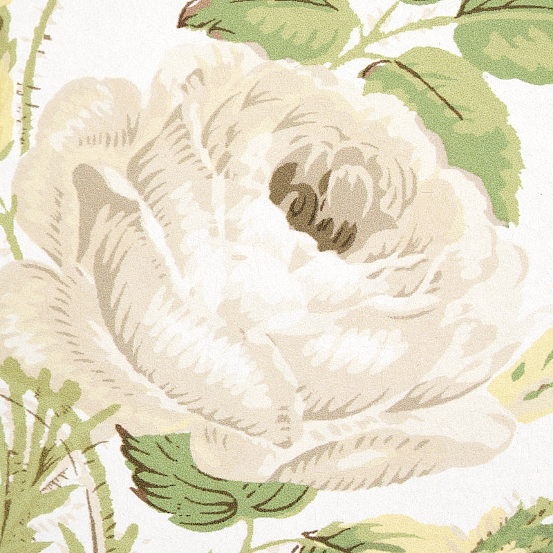 LOUDON-ROSE-IVORY-SCHUMACHER-5012030