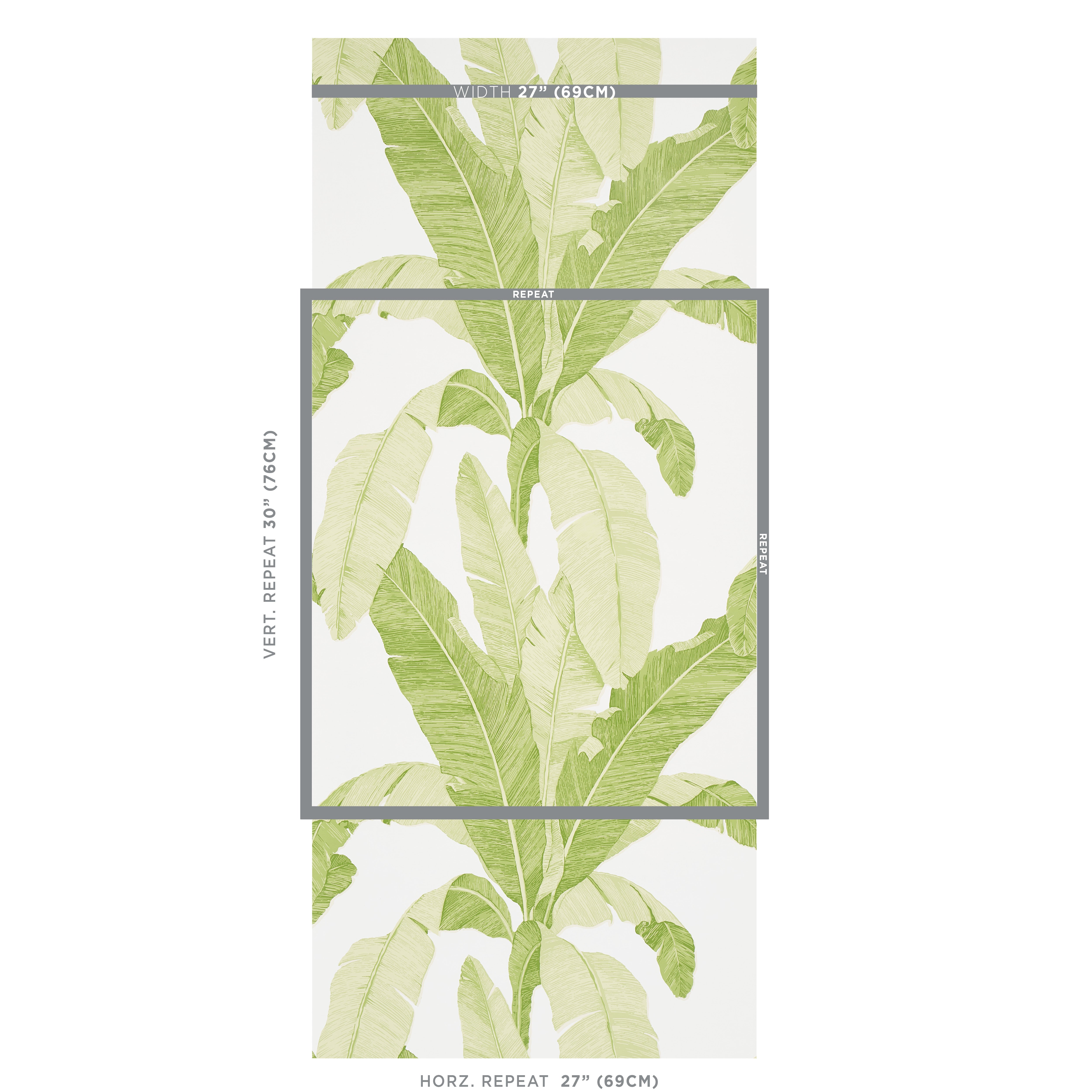 ERISIMO-LEAF-SCHUMACHER-5012110