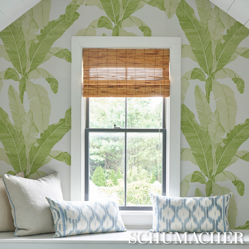 ERISIMO-LEAF-SCHUMACHER-5012110