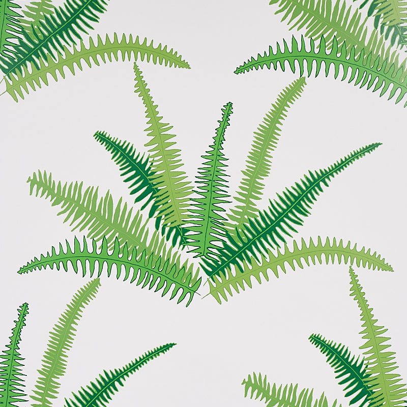 CANYON-FERNS-JUNGLE-SCHUMACHER-5012621