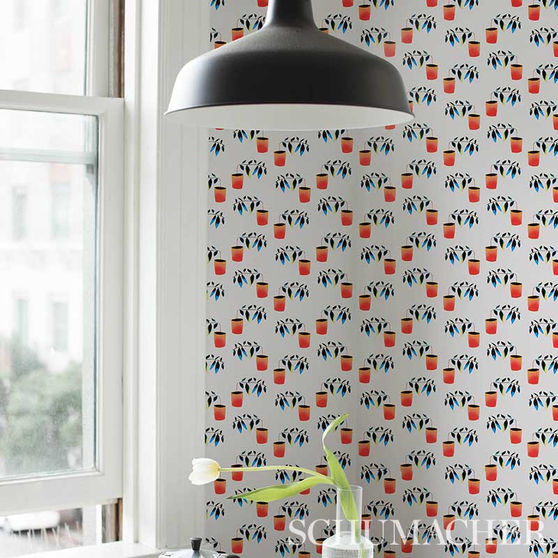 REACHING-OUT-SPECTRUM-MULTI-SCHUMACHER-5012710