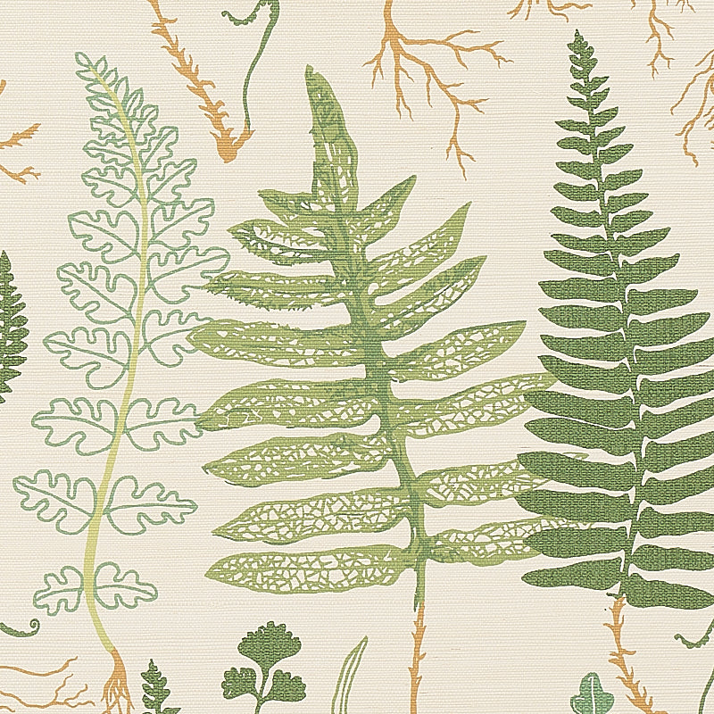 HALCOTT-SISAL-FOREST-SCHUMACHER-5013060