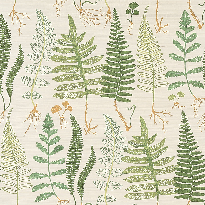 HALCOTT-SISAL-FOREST-SCHUMACHER-5013060