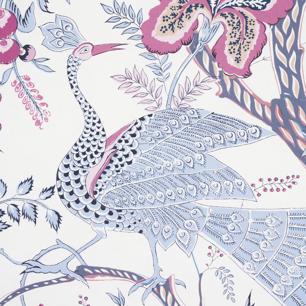 AVELINE-LILAC-SCHUMACHER-5013191