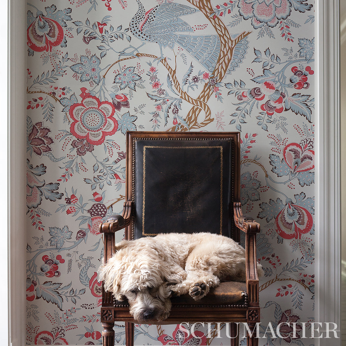 AVELINE-ROSE-SCHUMACHER-5013192