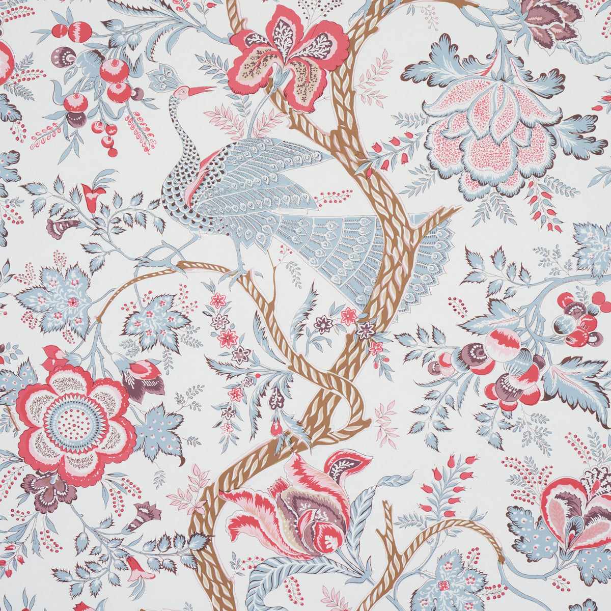 AVELINE-ROSE-SCHUMACHER-5013192