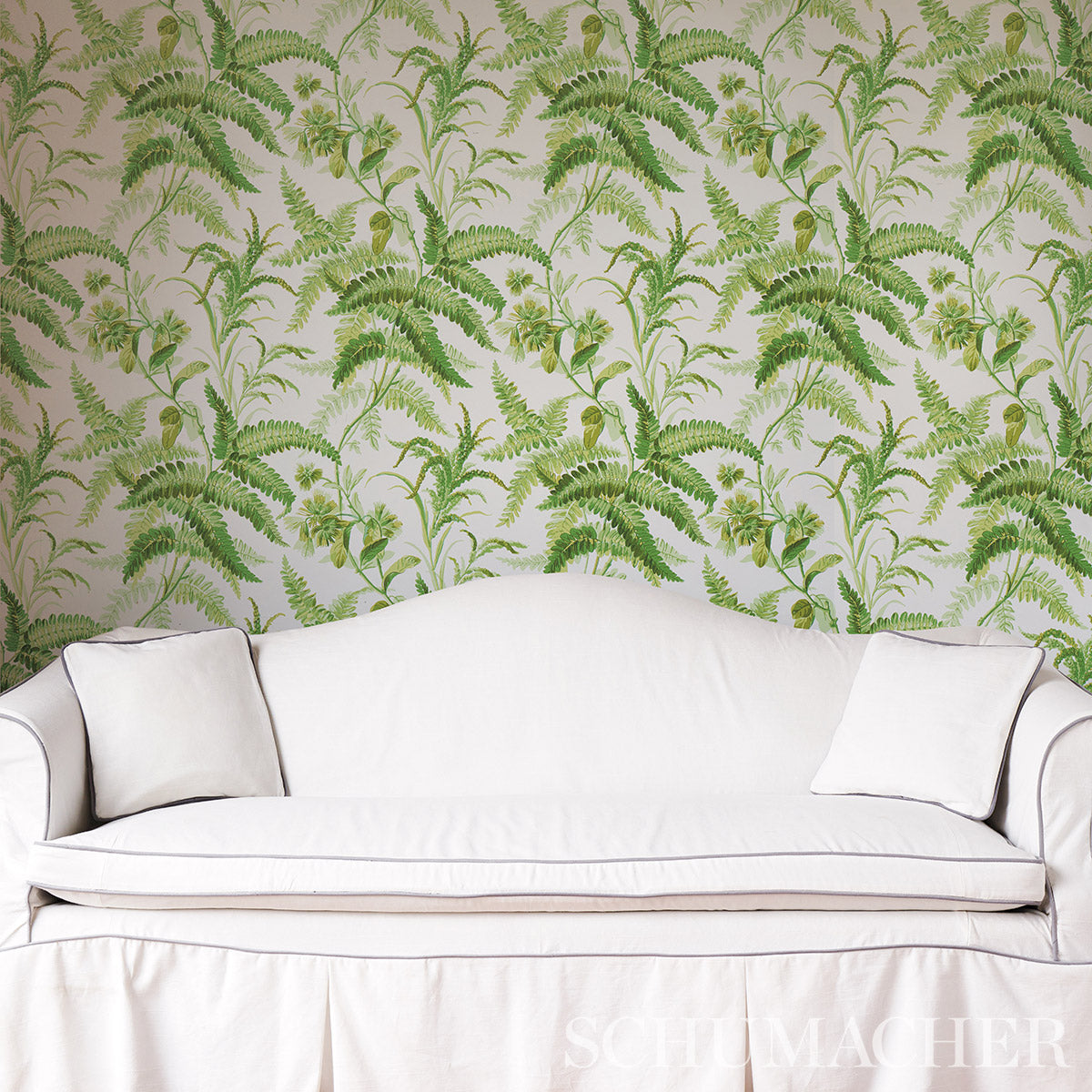 MYERS-FERN-TROPICAL-SCHUMACHER-5013231