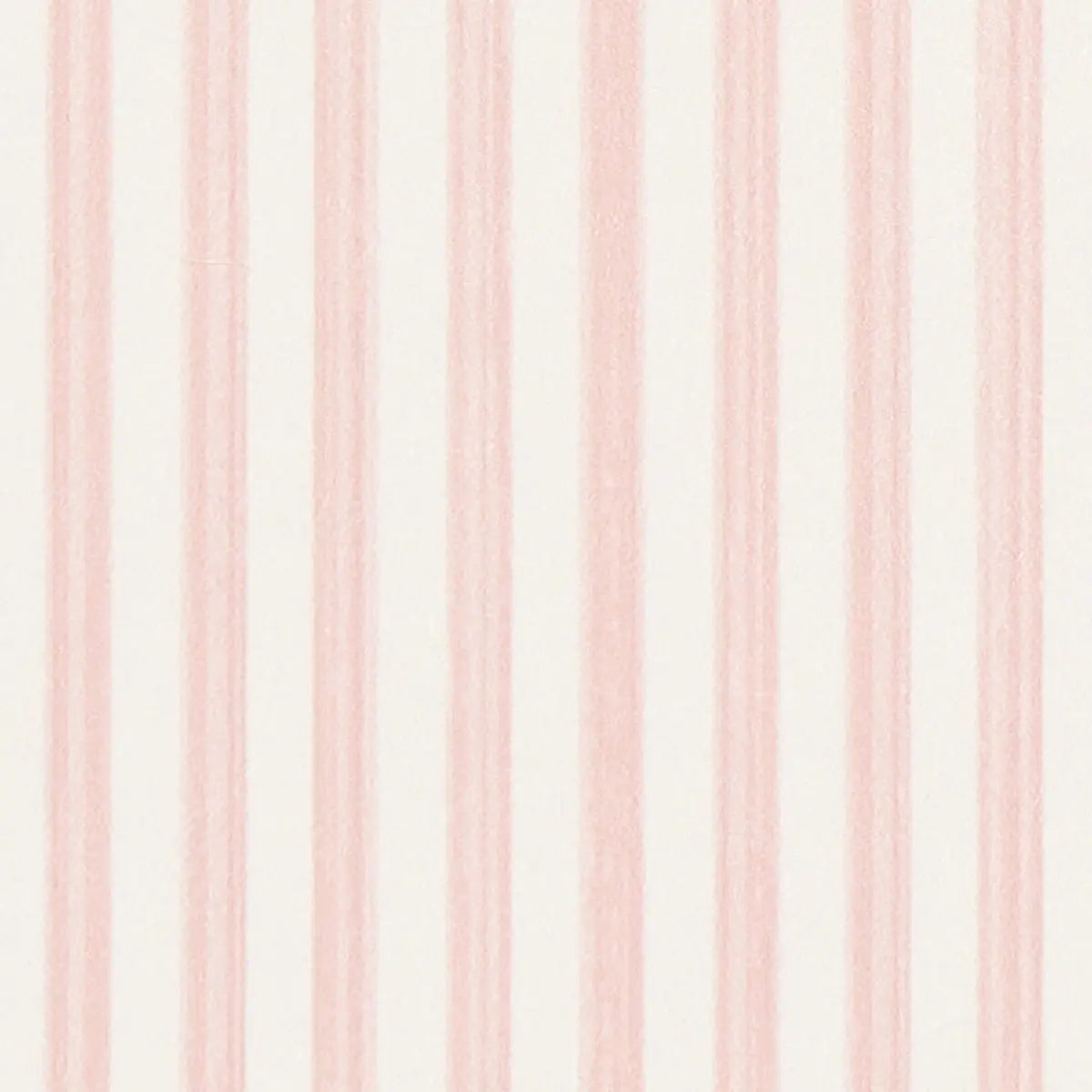 EDWIN-STRIPE-NARROW-PETAL-SCHUMACHER-5013600