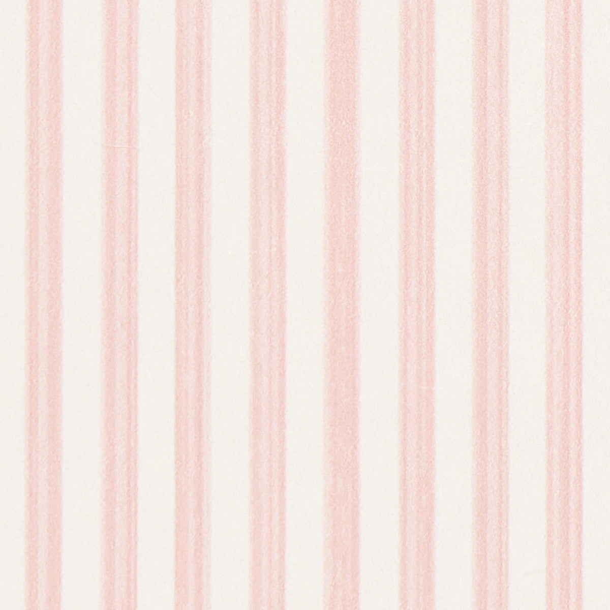 EDWIN-STRIPE-NARROW-PETAL-SCHUMACHER-5013600