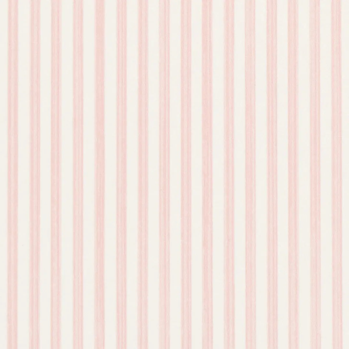 EDWIN-STRIPE-NARROW-PETAL-SCHUMACHER-5013600